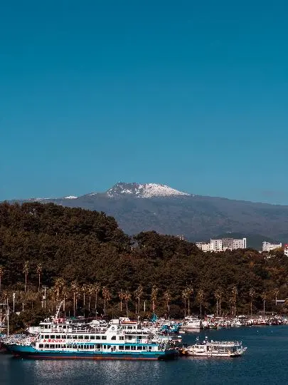 새연교 리뷰사진2