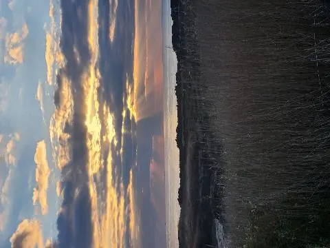 표선해수욕장 리뷰사진3