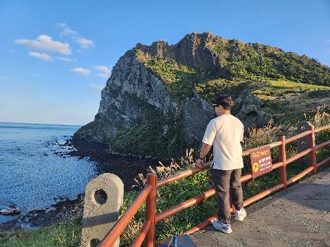 성산일출봉 해송 리뷰사진5