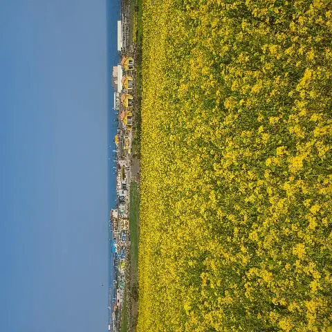 우도(해양도립공원) 리뷰사진4