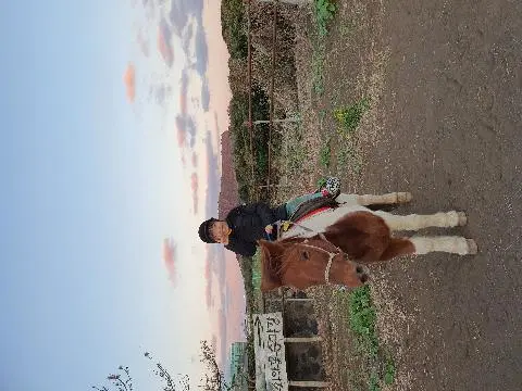 제일 좋아하는 동물인 말을 만나 신나서 방방 뛰는 아이가 승마체험까지 하게되면서 인생 최고의 행복을 느끼는순간! 
담당자분의 사려깊은 행동과 센스덕에 더욱 기억에 오래 남을 즐거웠던 쇠와꽃에서의 승마체험♡
