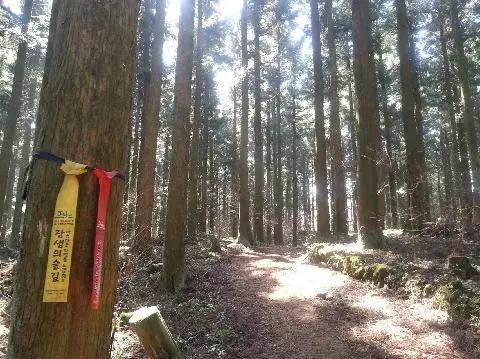 제주절물자연휴양림 리뷰사진5