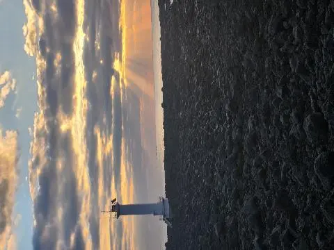 표선해수욕장 리뷰사진5