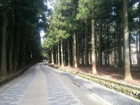 제주절물자연휴양림