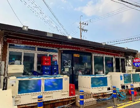 Wondam 대표이미지