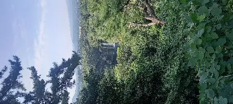 서귀포칠십리시공원