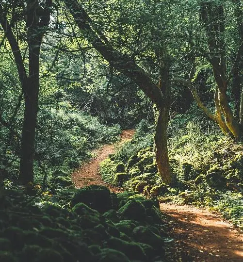 비짓제주 댓글 이벤트 참여하고 경품받자!