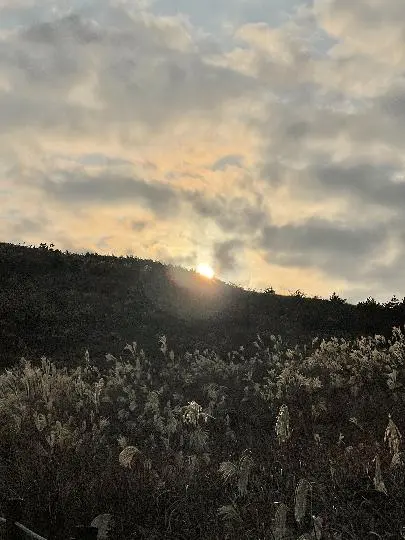 백약이오름 리뷰사진2