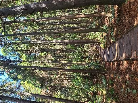 비짓제주 댓글 이벤트 참여하고 경품받자!