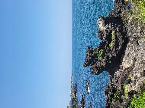 비짓제주 댓글 이벤트 참여하고 경품받자!