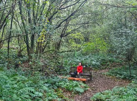 제주곶자왈도립공원 리뷰사진5