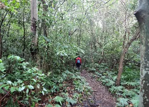 제주곶자왈도립공원 리뷰사진2
