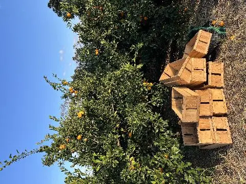 비짓제주 댓글 이벤트 참여하고 경품받자!