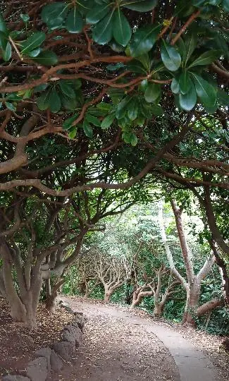 비짓제주 댓글 이벤트 참여하고 경품받자!