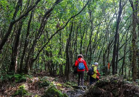 제주곶자왈도립공원 리뷰사진4