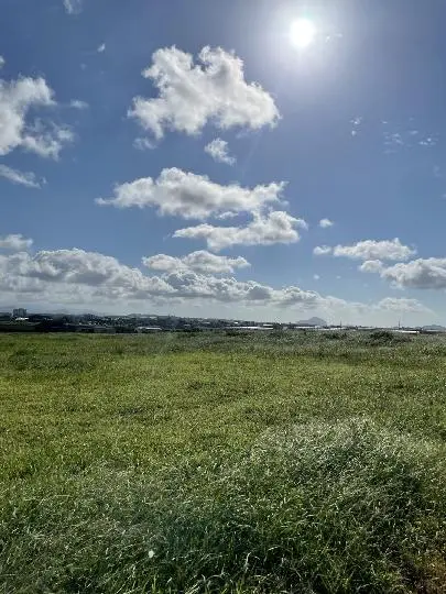 제주고산리유적