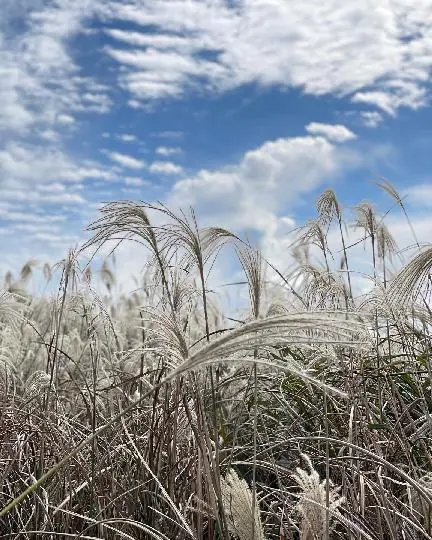 산굼부리 리뷰사진2