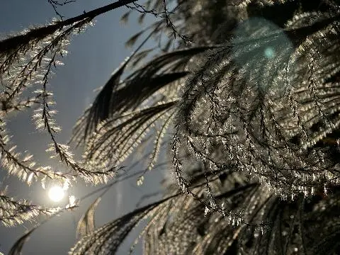 제주4.3평화공원 리뷰사진4