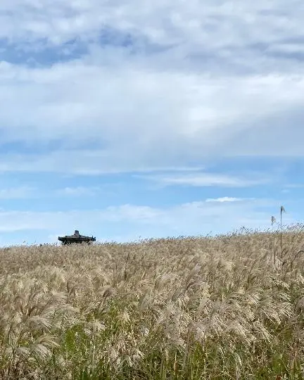산굼부리 리뷰사진3