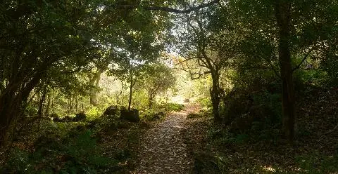 비짓제주 댓글 이벤트 참여하고 경품받자!