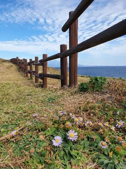 비짓제주 댓글 이벤트 참여하고 경품받자!