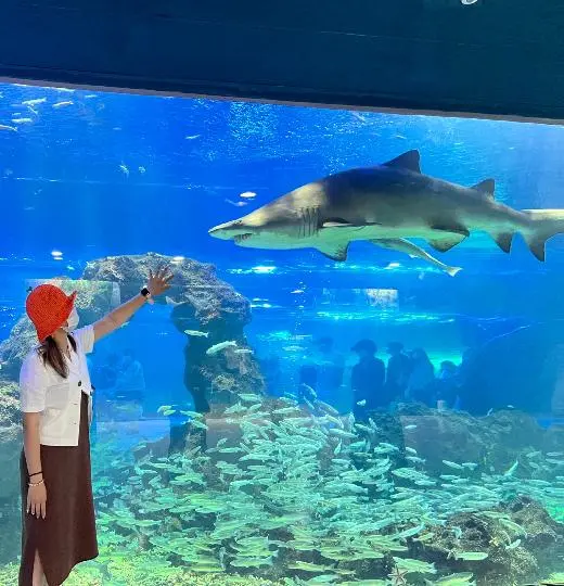 아쿠아플라넷 제주