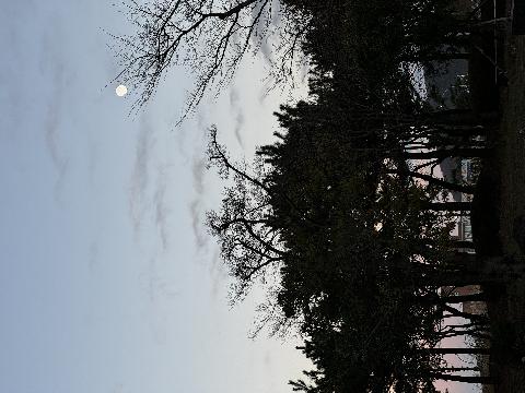 해질녘 제주4.3평화공원에서 바라본 하늘의 모습입니다. 탁 트인 시야에 사람도, 차도 얼마 없으니 몸도 마음도 편안해지는 것 같네요.
