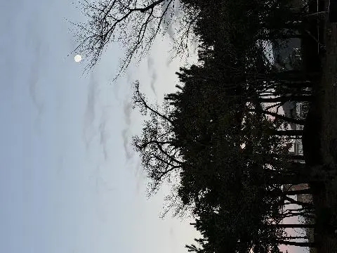 제주4.3평화공원