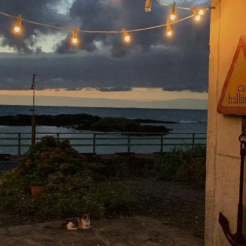 세화해변 리뷰사진2