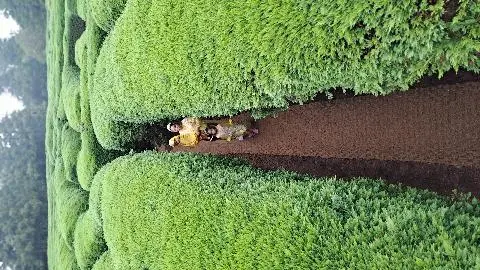 제주김녕미로공원