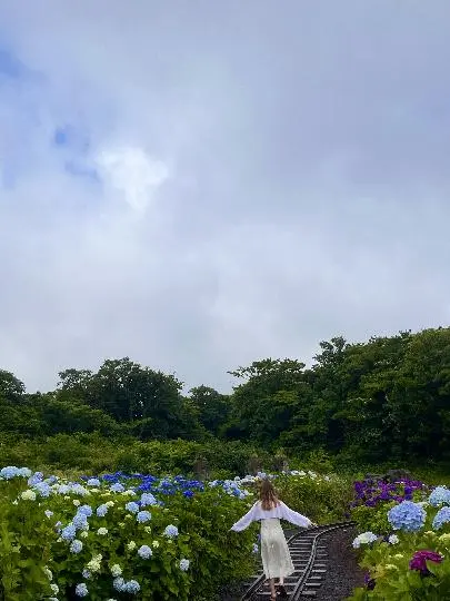 제주 에코랜드! 기차타고 이동할수 있는 장점과 원하는 역에서 내려서 구경하고 다시 기차타는 시스템이죠! 에코랜드 처음가봤는데 정말 구경거리도 많고 날씨가 흐릿했지만 좋은기억이였습니다! 연인들과 가족들 또는 아이들이 구경할게 정말 많았고 중간에 체험시설 역에 족욕할수 있는곳이 또 있어 따듯하게 있을수 있는 장점 저같이 감성샷 찍고 싶어하는 사람들이 가기 좋은곳입니다 다음엔 날씨좋을때 가고싶네요❤️
