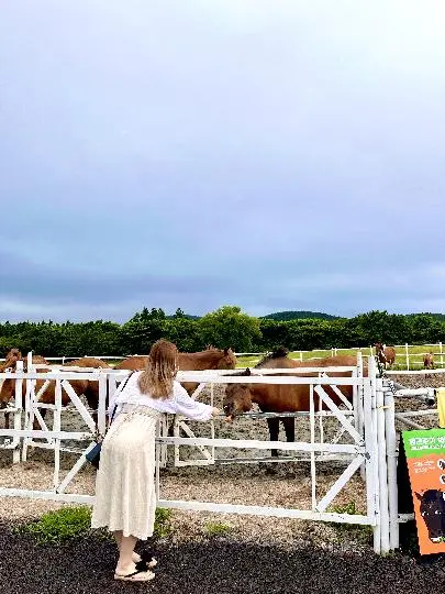 에코랜드 테마파크 리뷰사진2