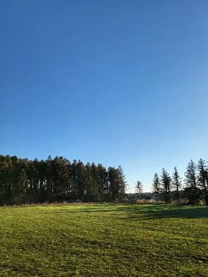 안돌오름 리뷰사진3