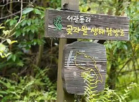 친환경 제주여행 인증 이벤트! 지속가능한 제주여행 함께해요