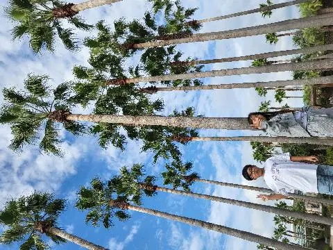 주상절리대(중문대포해안) 리뷰사진3