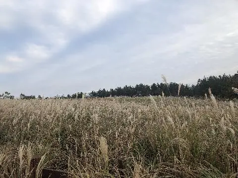 산굼부리 리뷰사진5