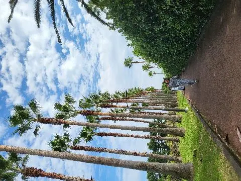 주상절리대(중문대포해안) 리뷰사진4