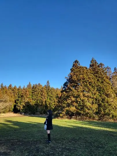 안돌오름 비밀의 숲 너무 행복했던 기억으로 남아있는 곳, 정말 제주의 푸릇함을 가득 느낄 수 있었던 곳, 비밀의 숲에 들어서면 코 끝을 향기롭게 간지럽히던 향긋했던 나무 냄새, 흙 냄새가 가득하고 사방으로 온통 나무가 길게 뻗고 우거져 있어서 그 안에 서있으면 숲이 나를 가득 감싸주던 느낌을 받았던 곳, 그 시간동안은 아무런 걱정없이 힐링 할 수 있던 장소🌳💚