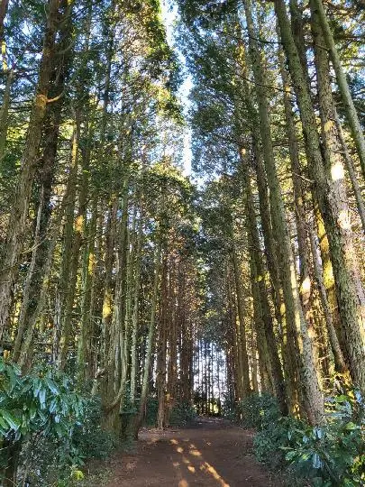 안돌오름 리뷰사진5