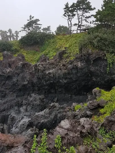 주상절리대(중문대포해안) 리뷰사진2