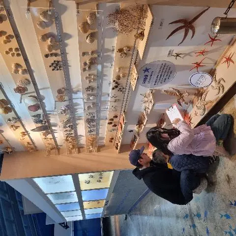 제주해양동물박물관