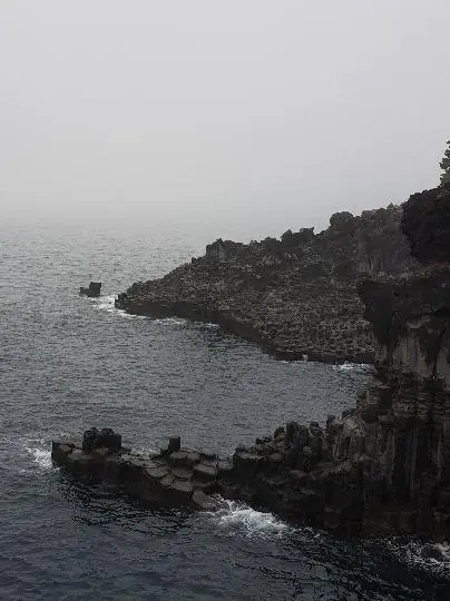 주상절리대(중문대포해안) 리뷰사진3