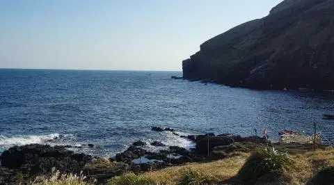 하하호호(HAHAHOHO) 리뷰사진2