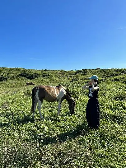 제주도의 자연을 한껏 느낄 수 있고 가장 기억에 남았던 곳이 바로 섭지코지 입니다. 산책길을 걷다보면 자연 경관에 감탄사가 절로 나와요!
유네스코 세계자연유산인 성산일출봉도 보였고 
승마체험도 할 수 있어요! 
저는 말과 함께 제주도 인생샷까지 건졌습니다 :)
주차장도 너무 잘 되어있었고 입구 앞 매점에서는 제주도 한치구이도 맛있게 먹었습니다 ㅎㅎ 제주도 여행 필수코스로 강추드립니다 
