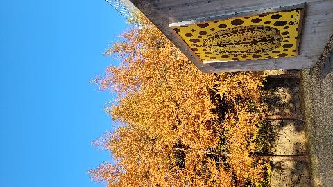 본태박물관 쿠사마야요이 특별전시 <Seeking the Soul> 리뷰사진4