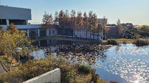 본태박물관 쿠사마야요이 특별전시 <Seeking the Soul> 리뷰사진5