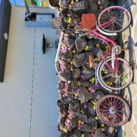 친환경 제주여행 인증 이벤트! 지속가능한 제주여행 함께해요