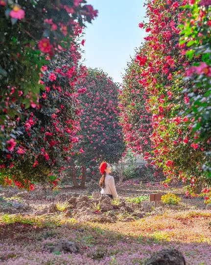 제주동백수목원