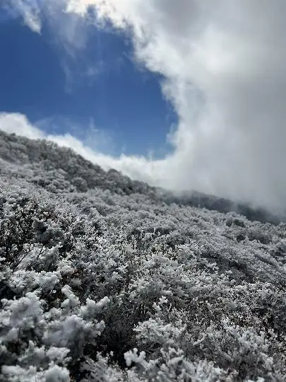 한라산영실코스