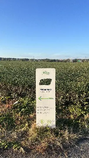 친환경 제주여행 인증 이벤트! 지속가능한 제주여행 함께해요